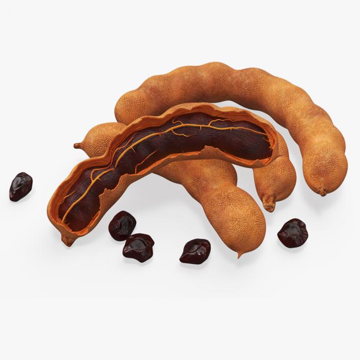 Tamarind Fruits Whole and Opened 3D