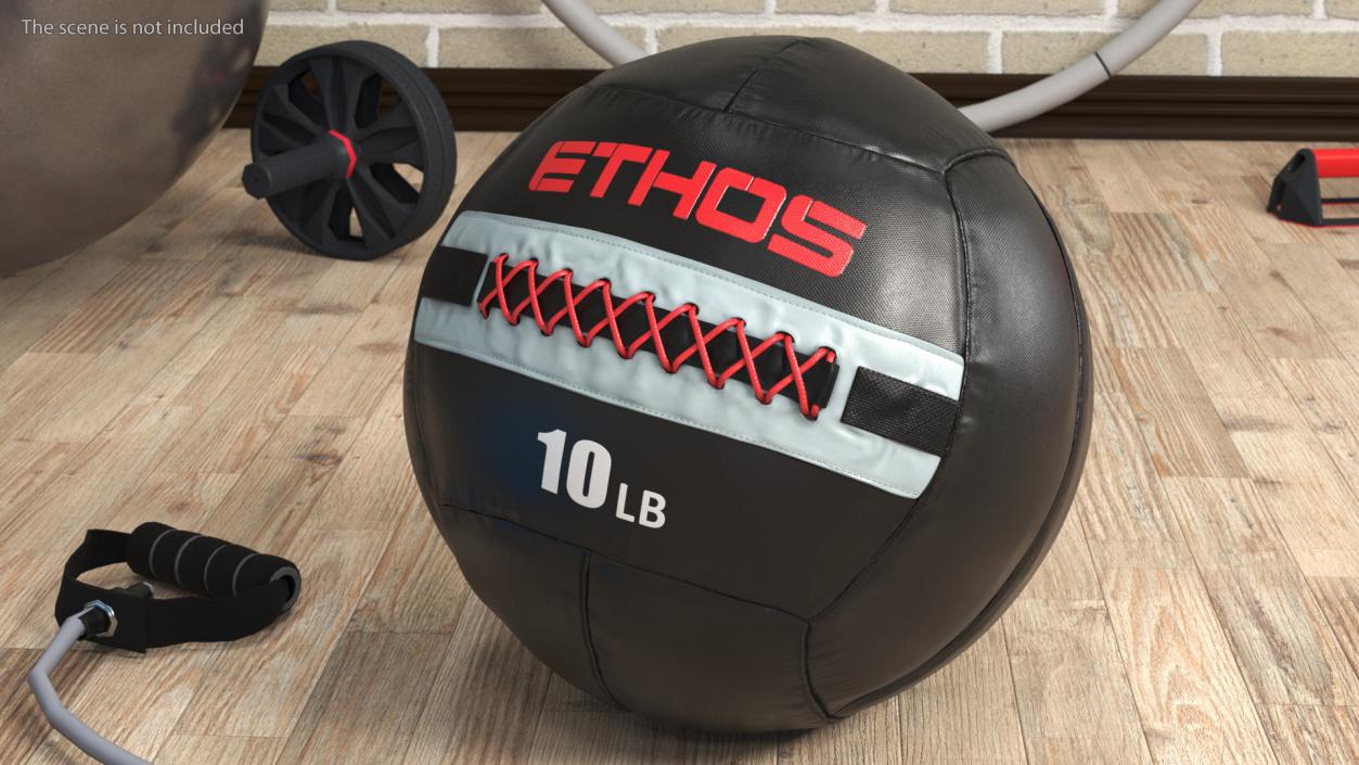 10 LB Fitness Medicine Ball 3D