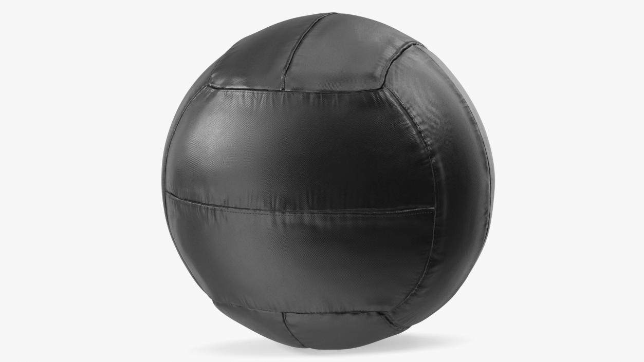 10 LB Fitness Medicine Ball 3D