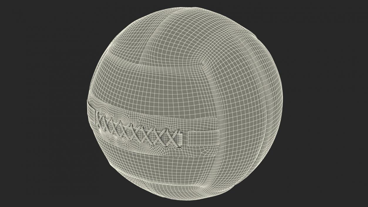 10 LB Fitness Medicine Ball 3D