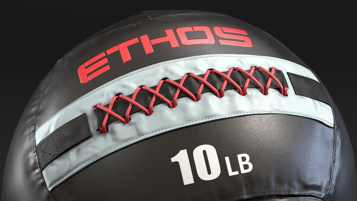 10 LB Fitness Medicine Ball 3D