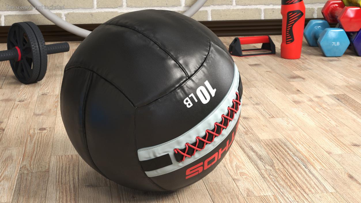 10 LB Fitness Medicine Ball 3D