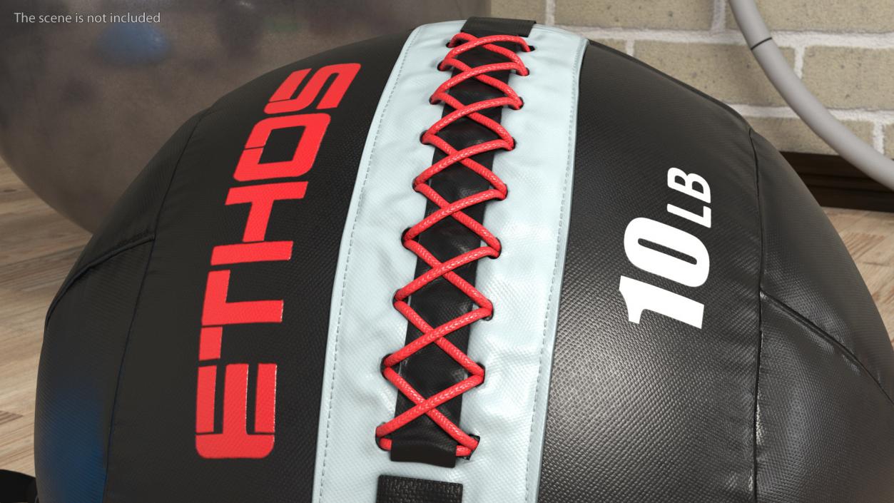 10 LB Fitness Medicine Ball 3D