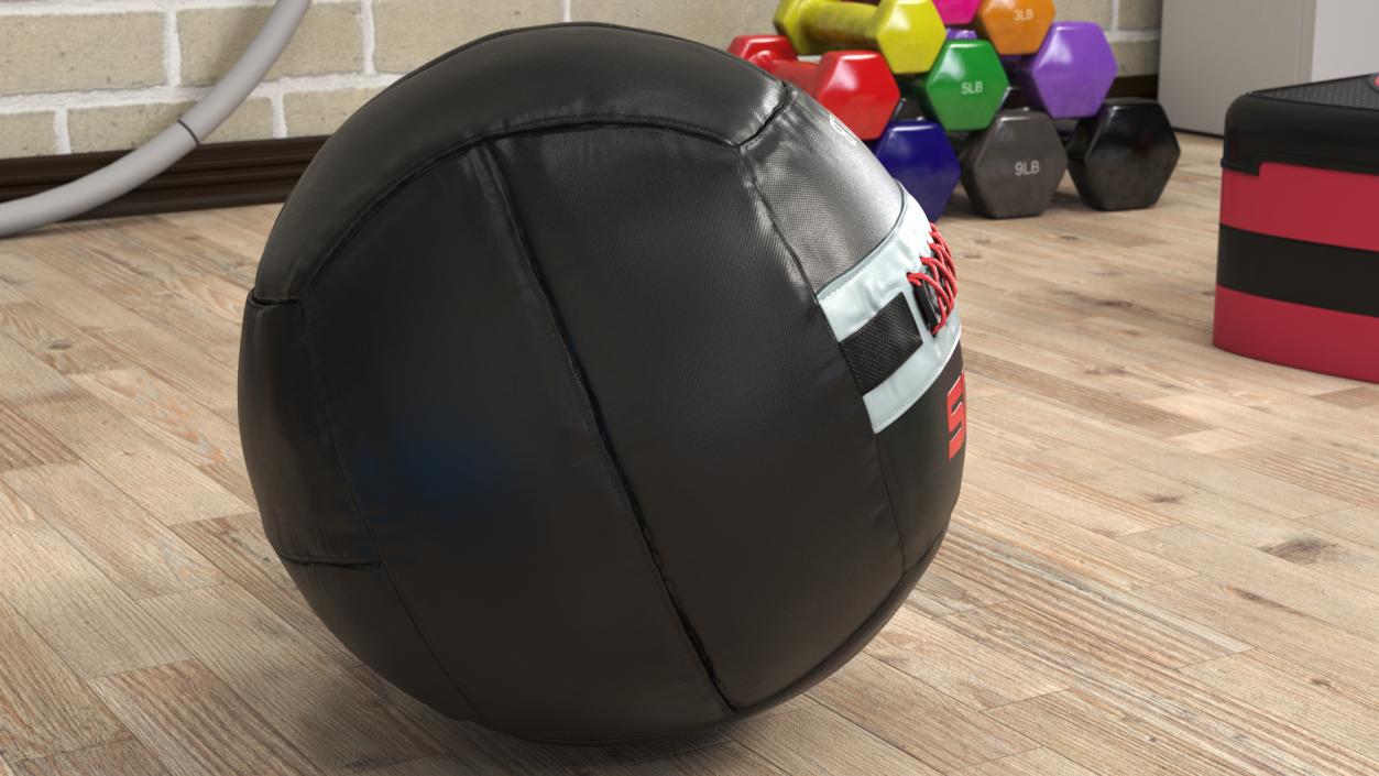 10 LB Fitness Medicine Ball 3D