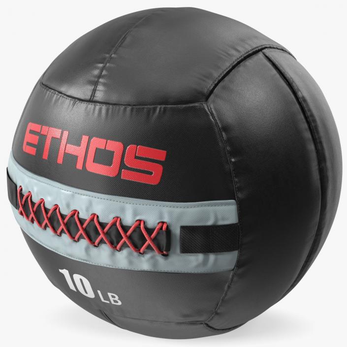 10 LB Fitness Medicine Ball 3D