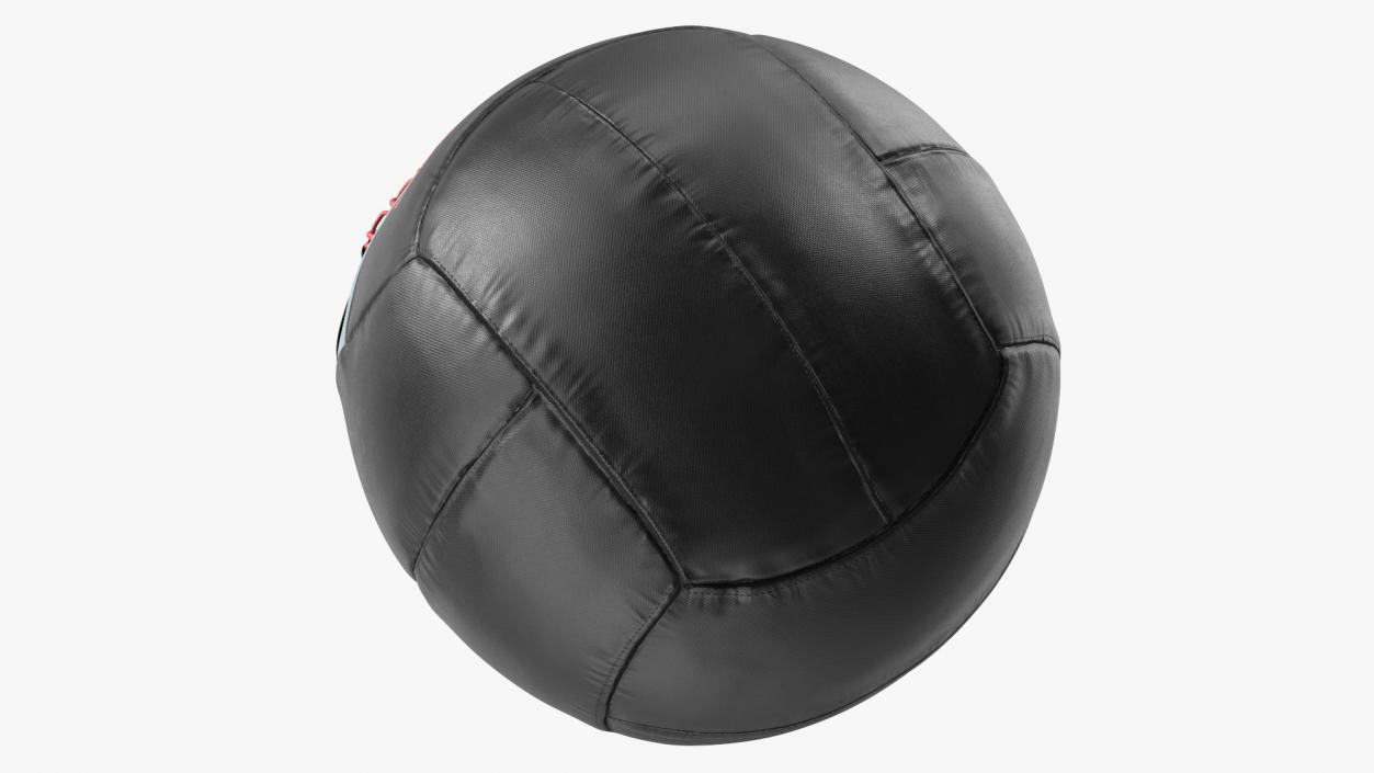 10 LB Fitness Medicine Ball 3D