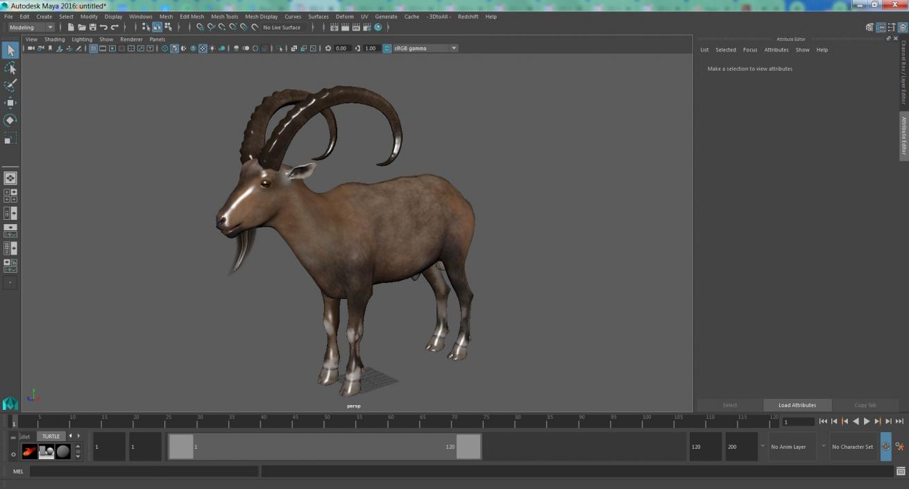 3D Alpine Ibex 2 model