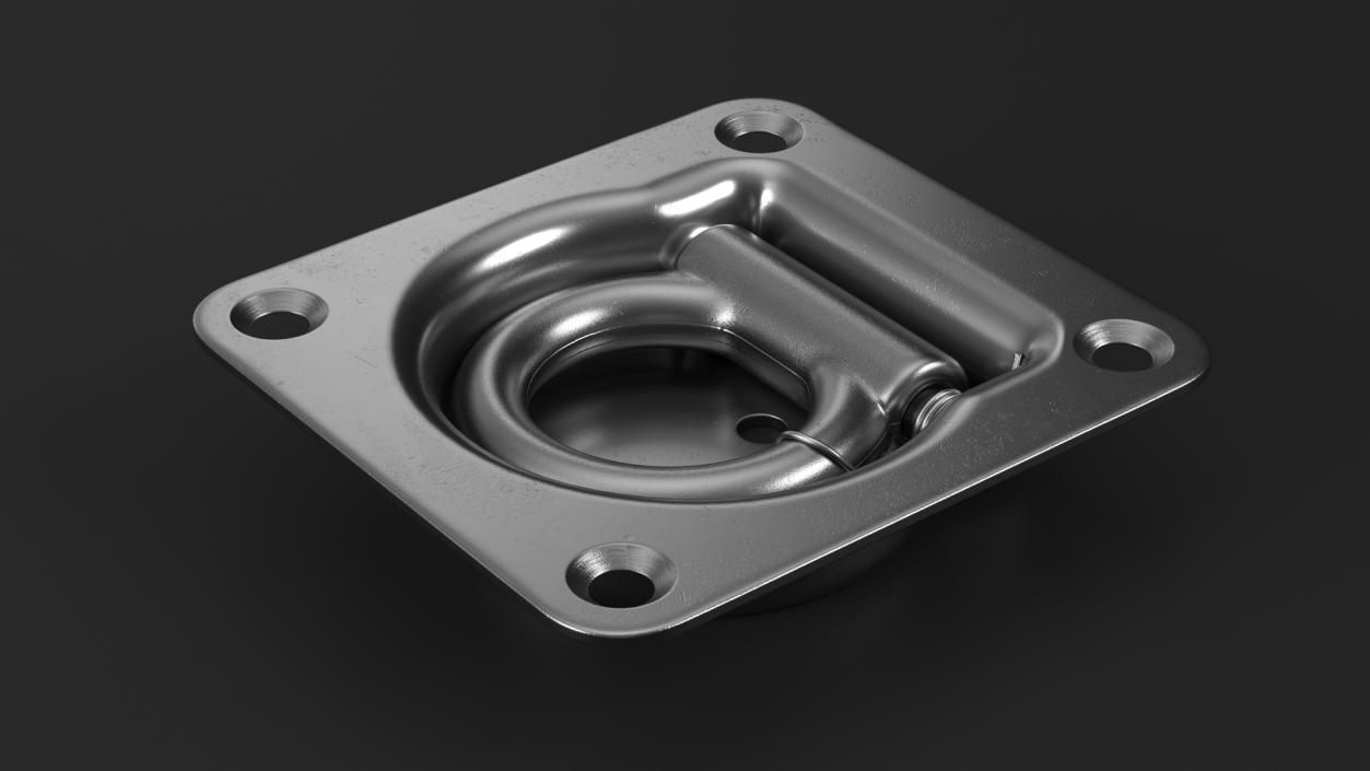 Stainless Steel D-Ring Anchor 3D model