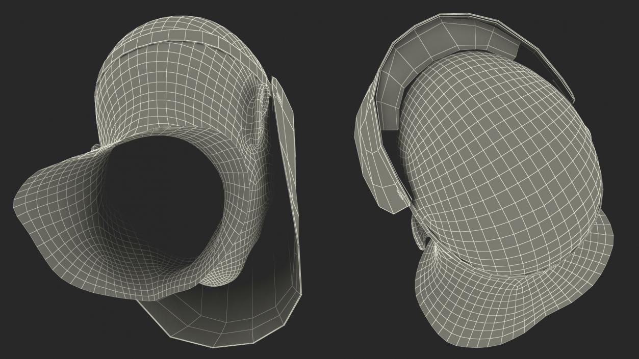 Full Face Shield Visor 3D