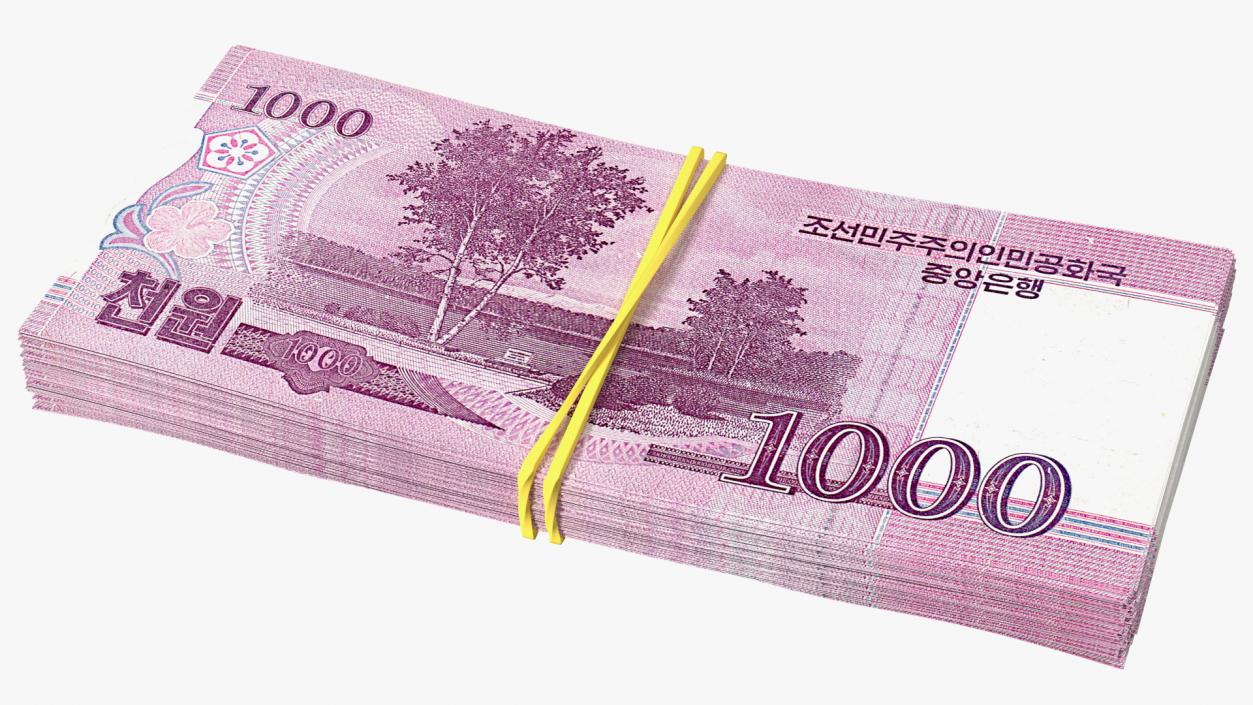 Stack of North Korea 1000 Won 3D model