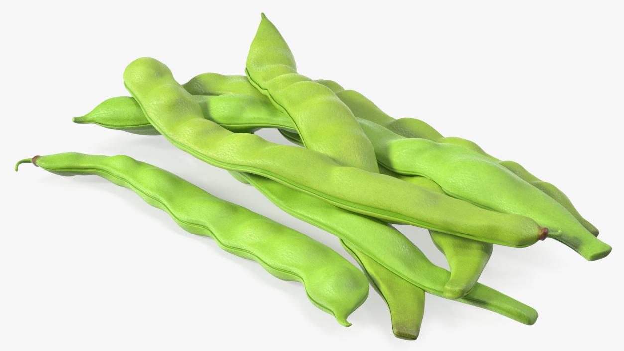 3D model Flat Beans