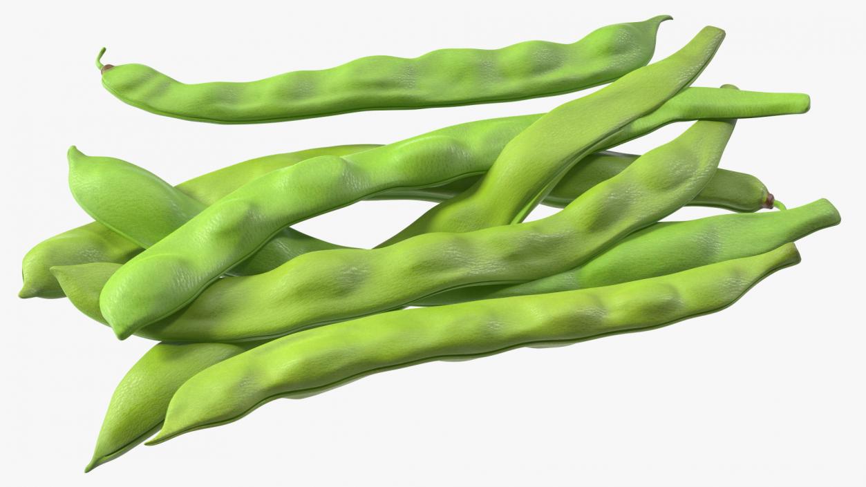 3D model Flat Beans