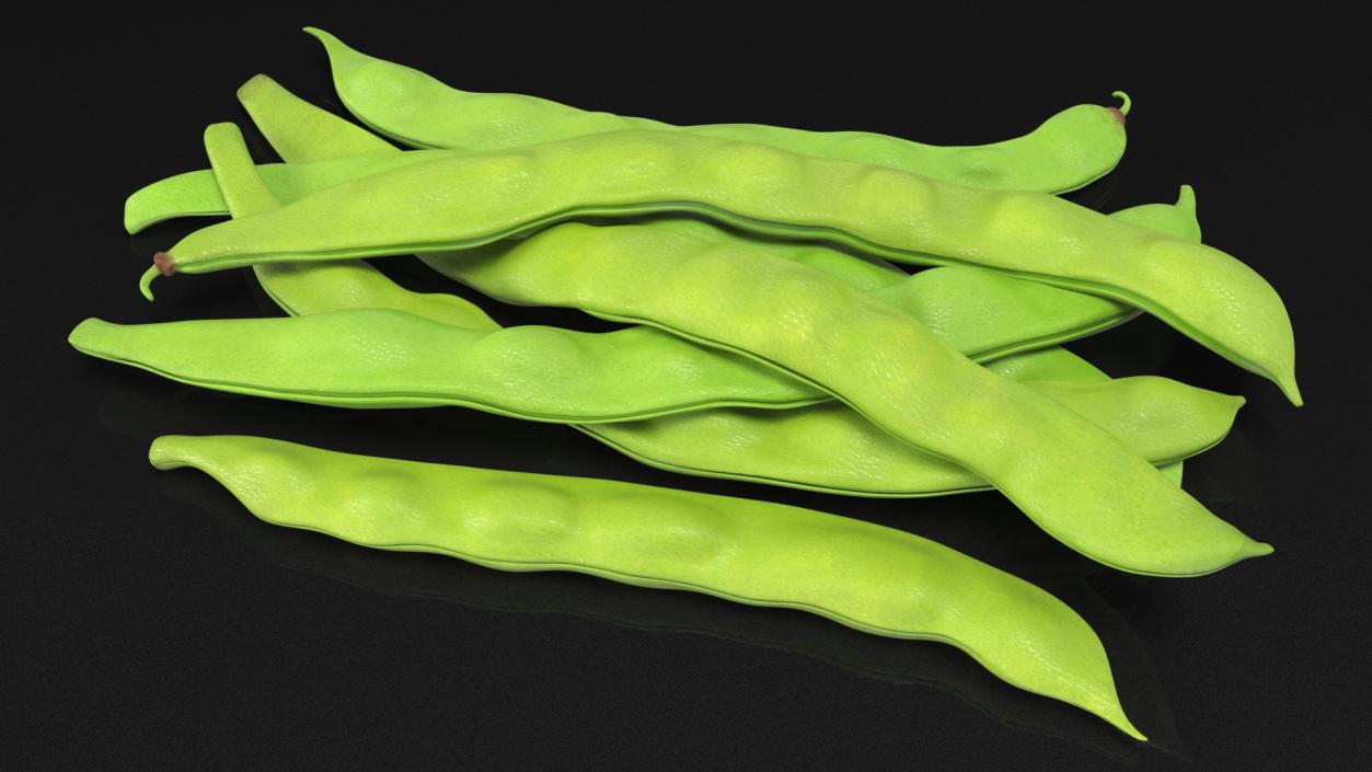 3D model Flat Beans