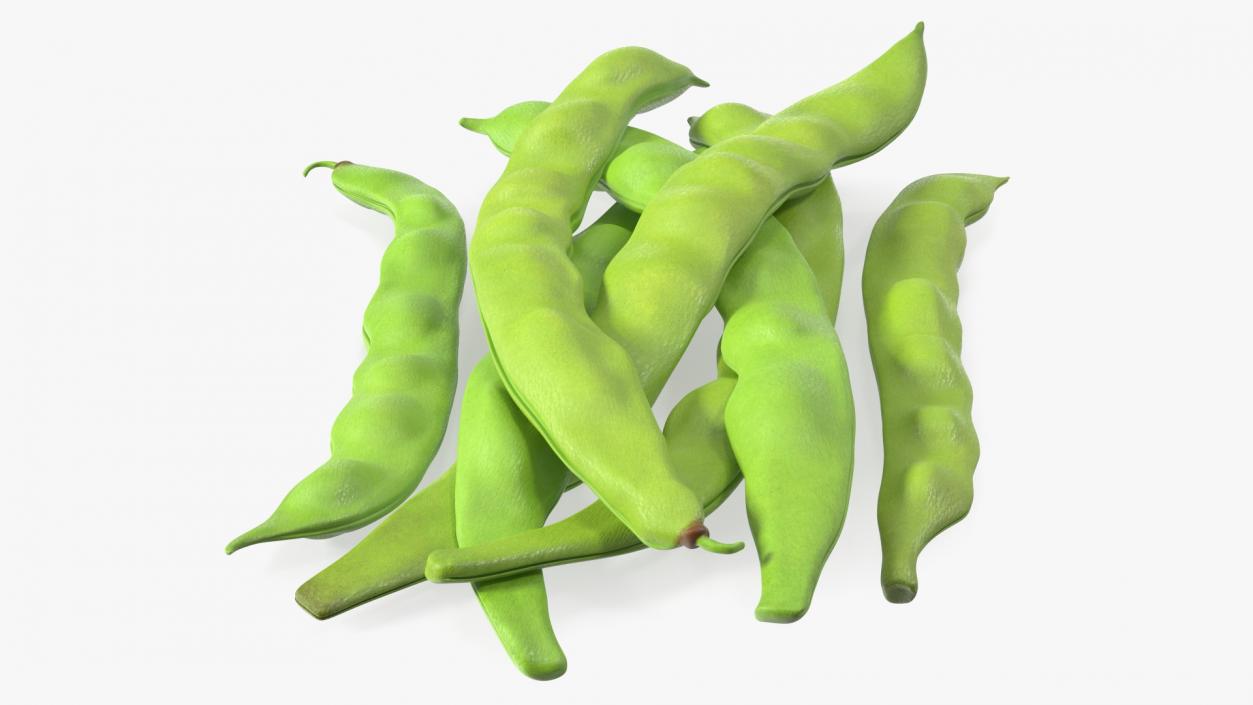 3D model Flat Beans