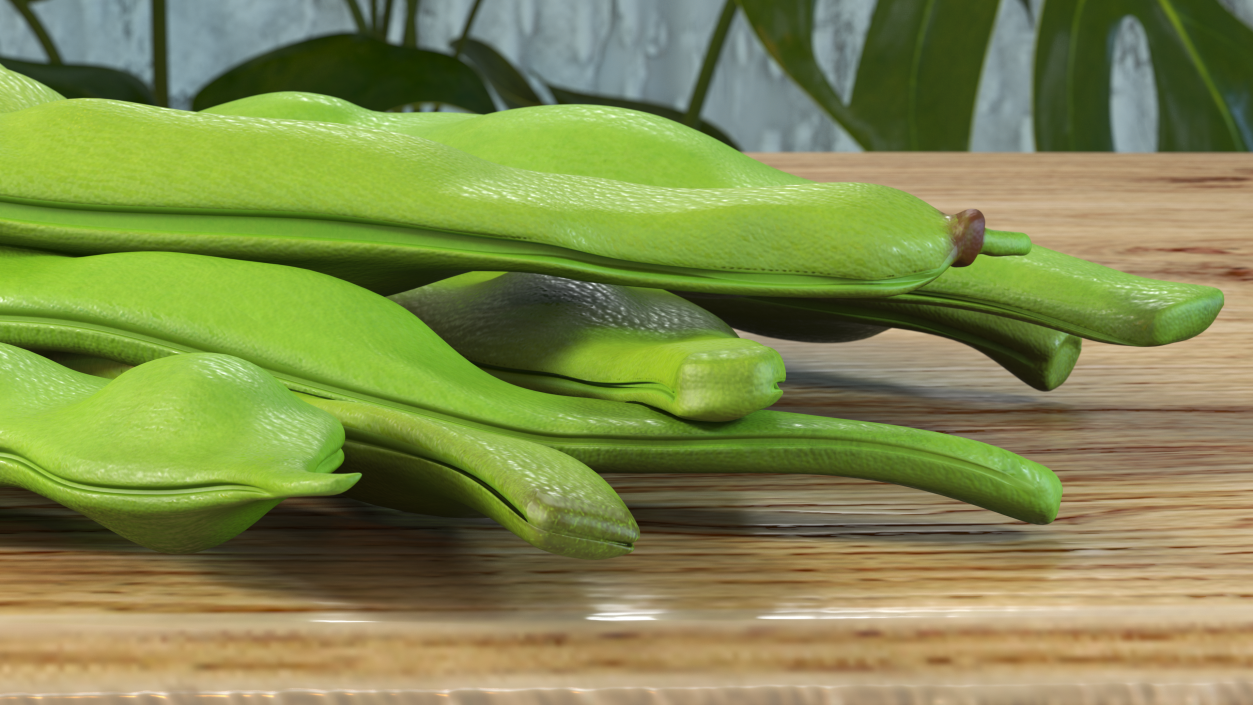 3D model Flat Beans