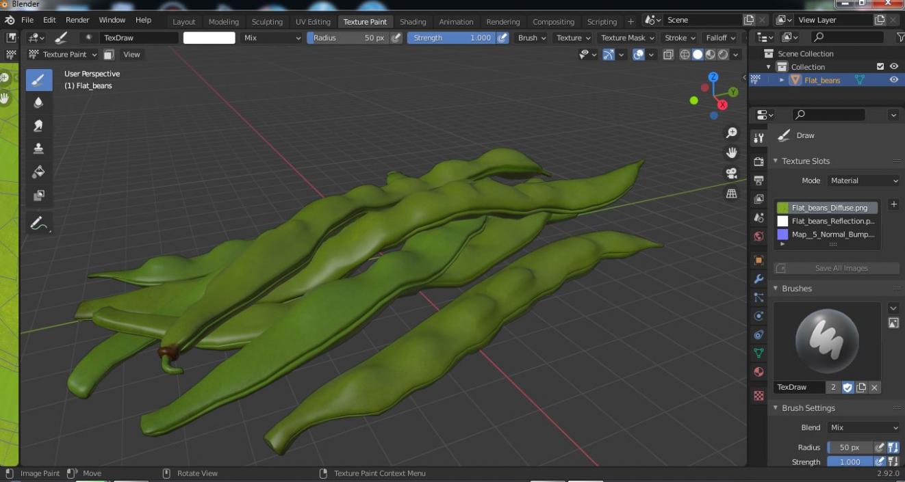 3D model Flat Beans