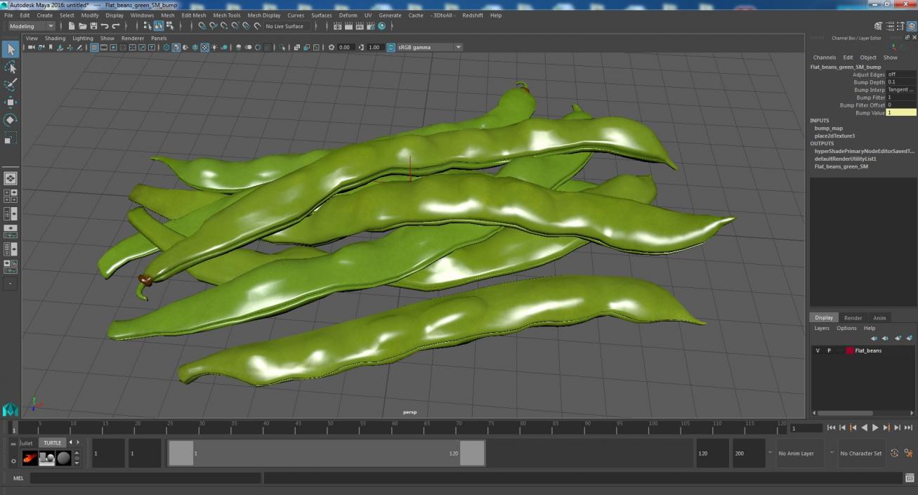 3D model Flat Beans