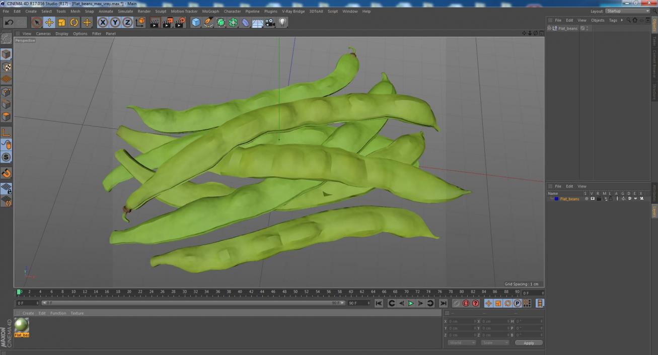 3D model Flat Beans