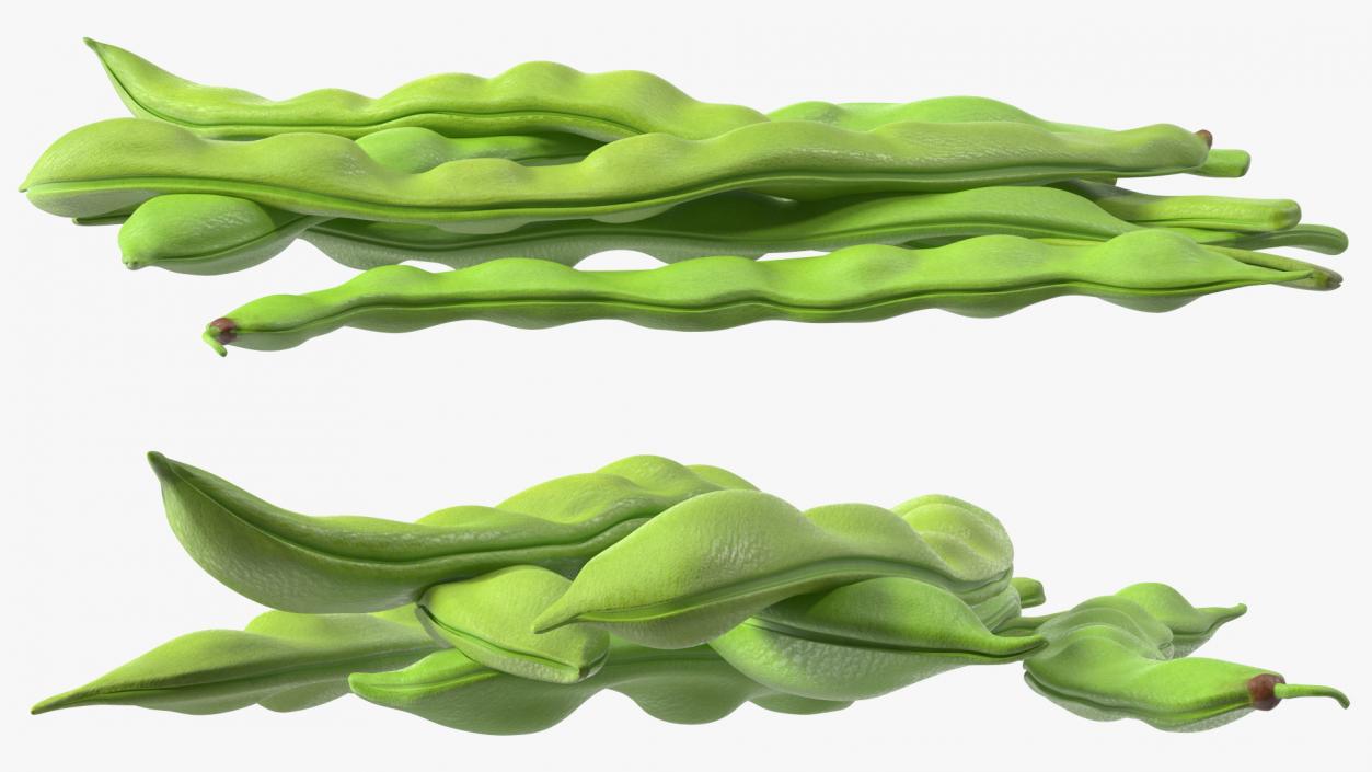 3D model Flat Beans