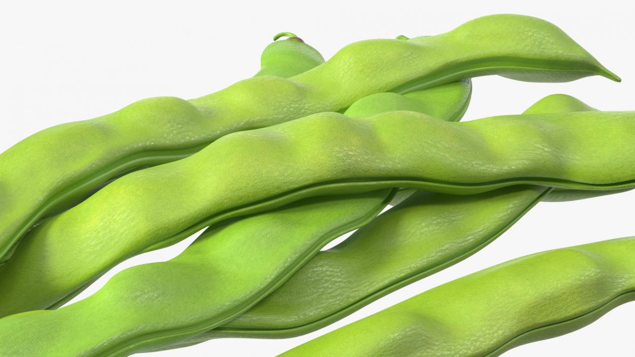 3D model Flat Beans