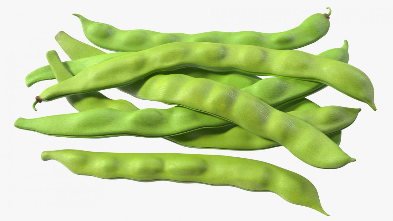 3D model Flat Beans