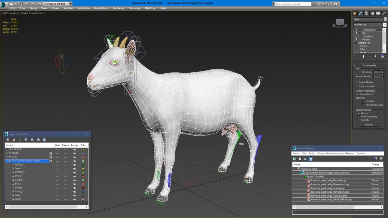 3D Goat Saanen Breed Rigged for Cinema 4D model