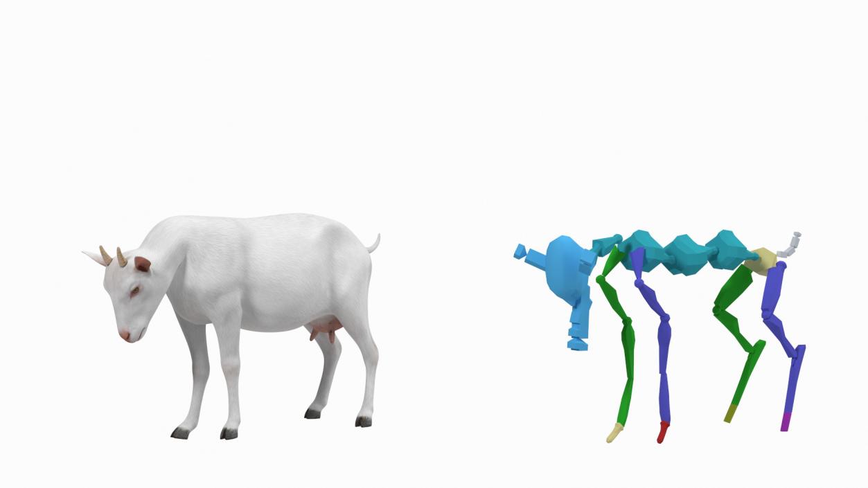 3D Goat Saanen Breed Rigged for Cinema 4D model