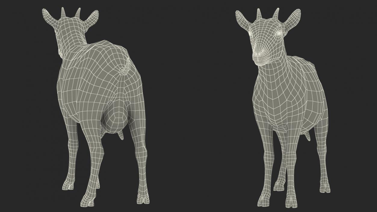 3D Goat Saanen Breed Rigged for Cinema 4D model