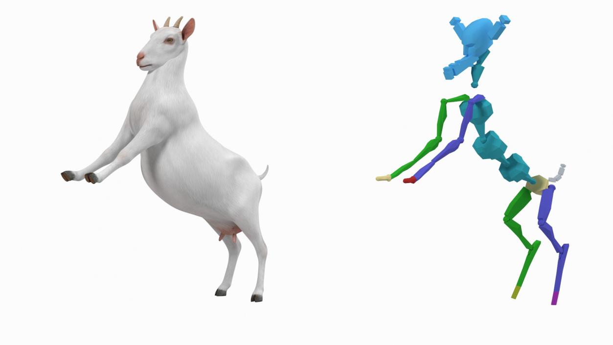 3D Goat Saanen Breed Rigged for Cinema 4D model