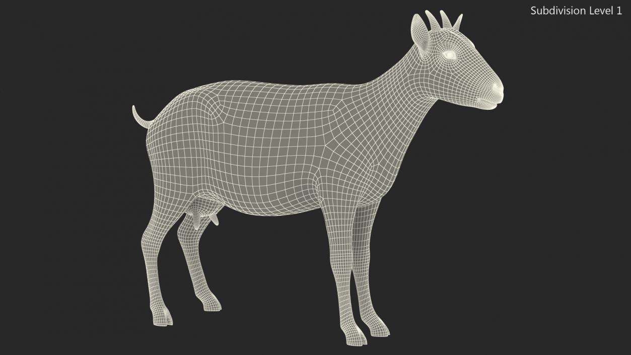 3D Goat Saanen Breed Rigged for Cinema 4D model