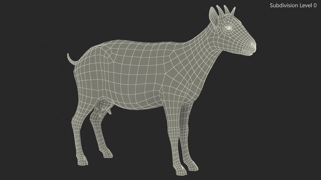 3D Goat Saanen Breed Rigged for Cinema 4D model