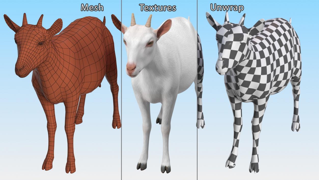 3D Goat Saanen Breed Rigged for Cinema 4D model