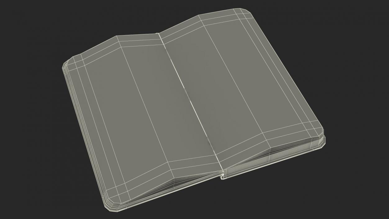 3D Opened Lined Notebook