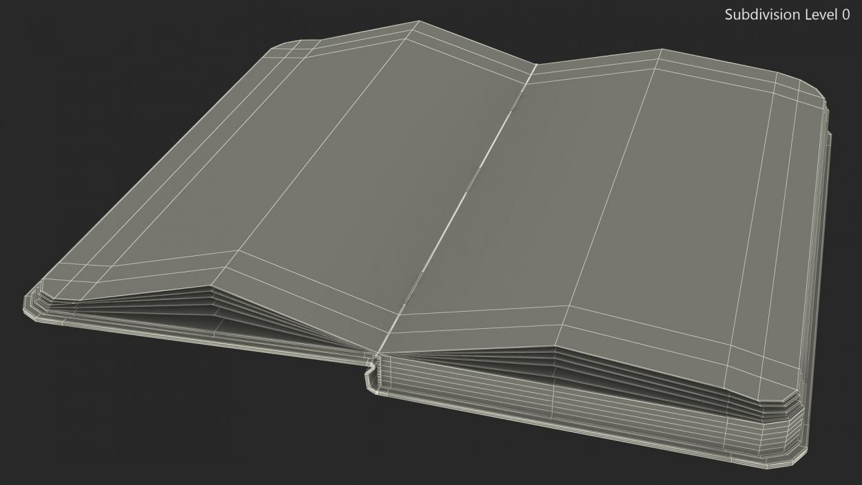 3D Opened Lined Notebook