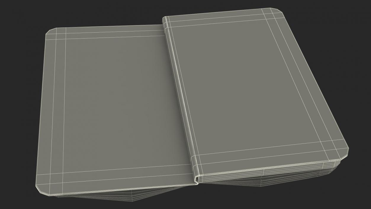 3D Opened Lined Notebook