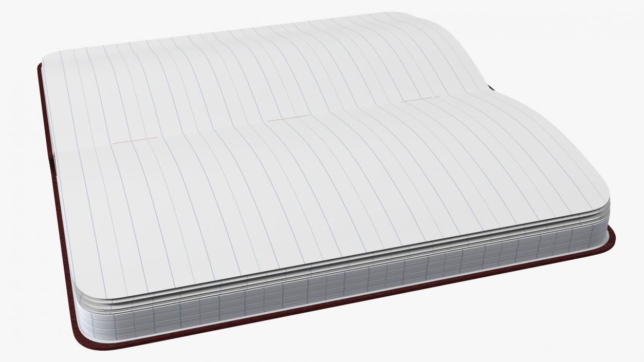 3D Opened Lined Notebook