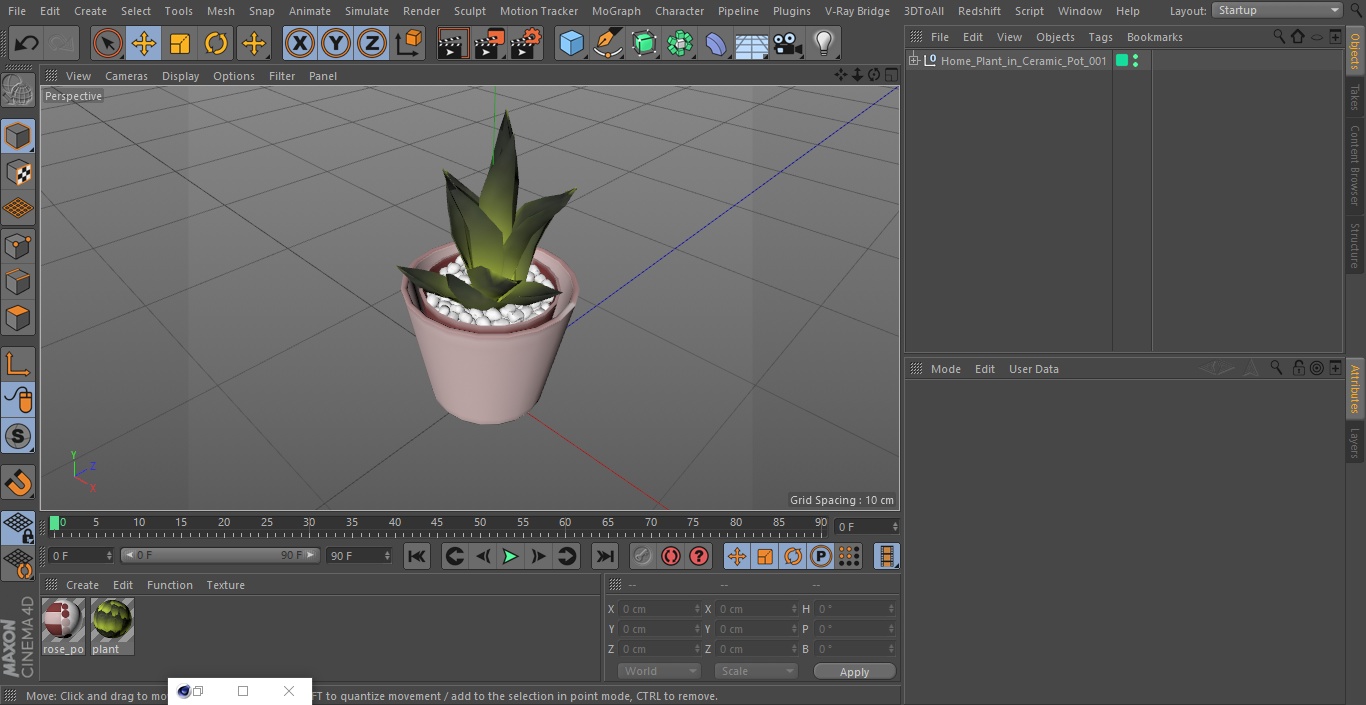 3D model Home Plant in Ceramic Pot