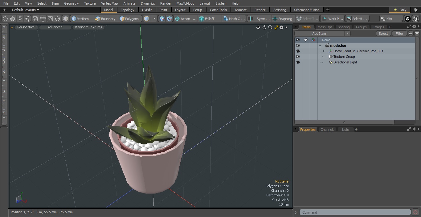 3D model Home Plant in Ceramic Pot