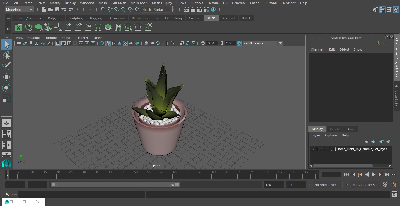 3D model Home Plant in Ceramic Pot