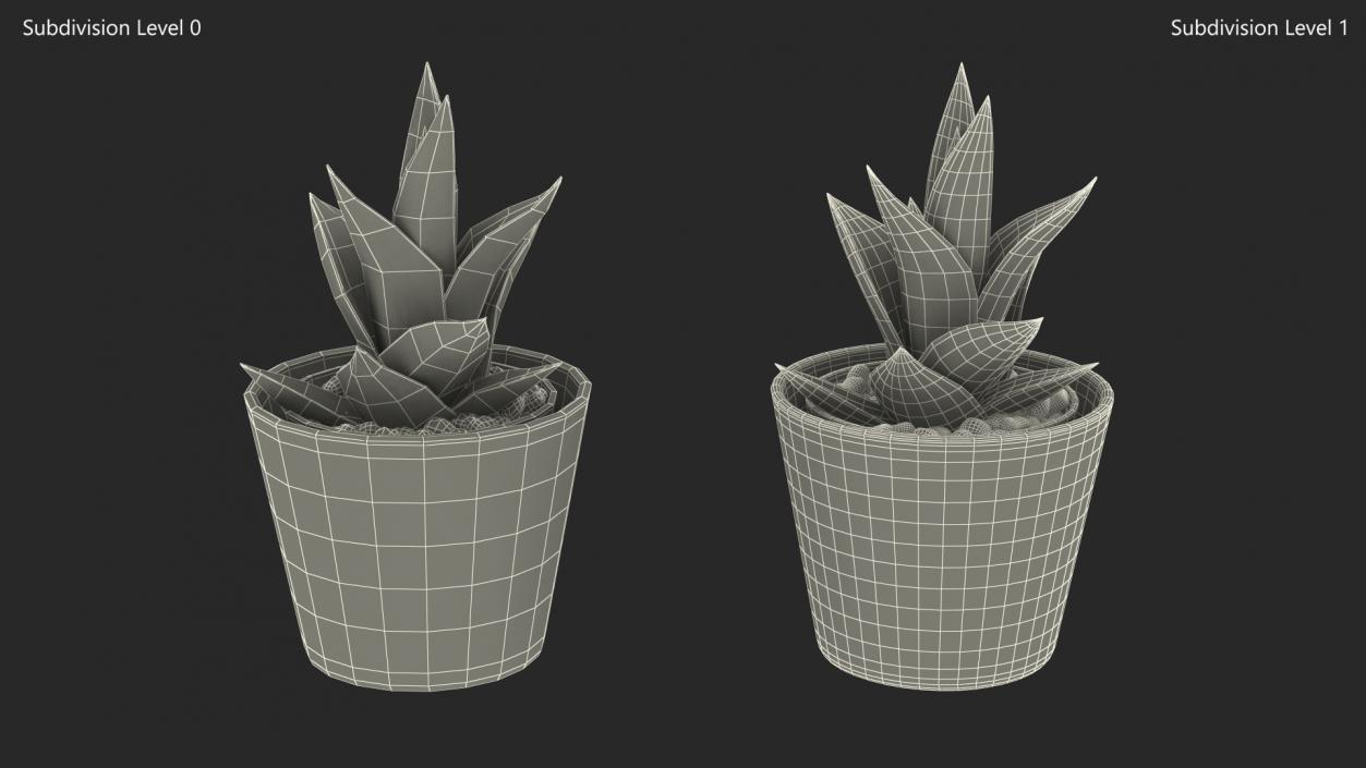 3D model Home Plant in Ceramic Pot