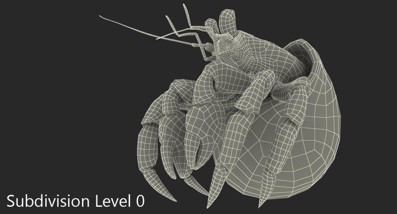 Hermit Crab Standing Pose with Fur 3D model