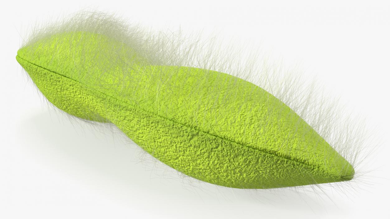 Green Soybean Pods Collection 3D model