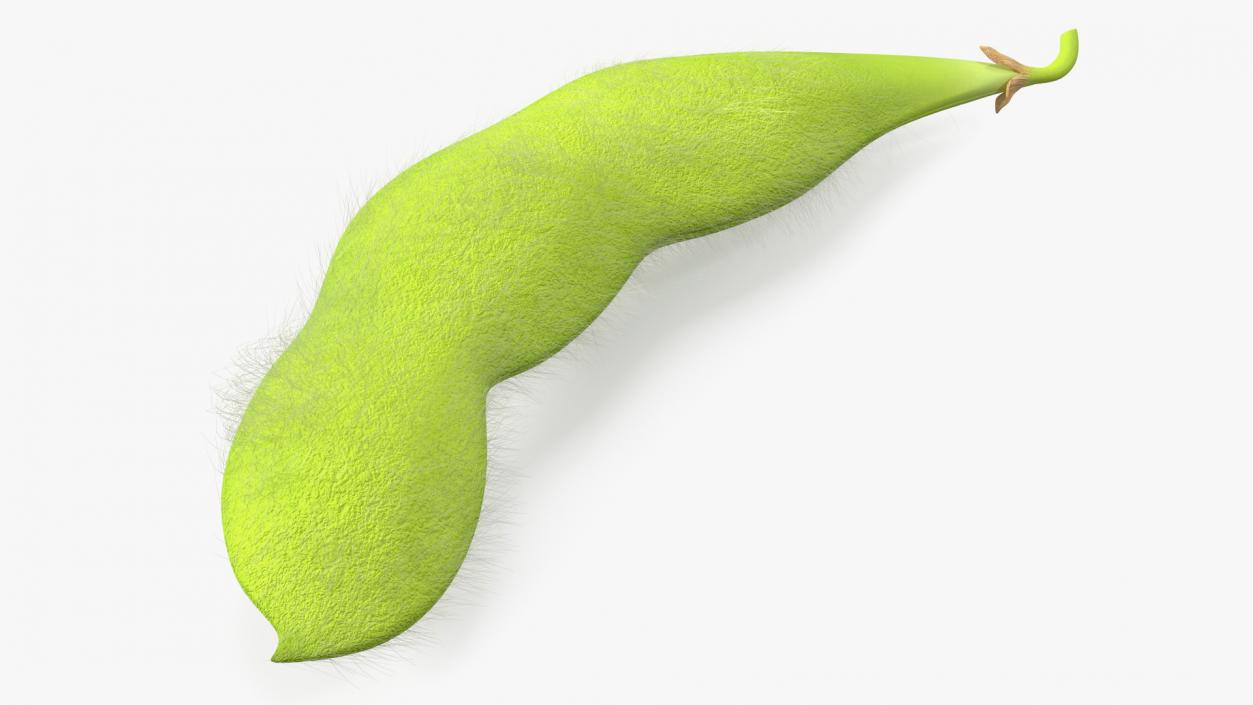 Green Soybean Pods Collection 3D model