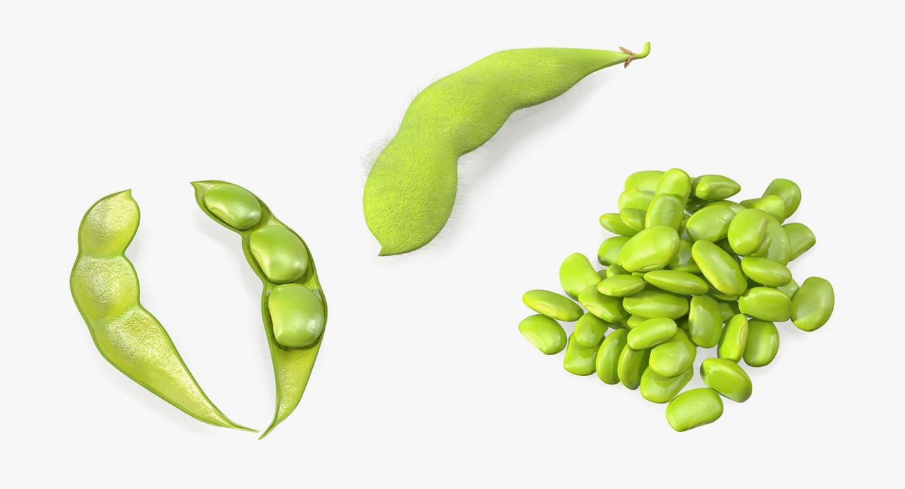 Green Soybean Pods Collection 3D model