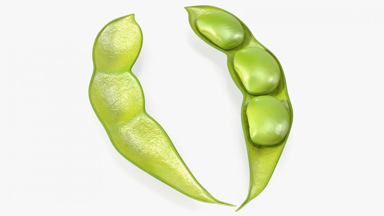 Green Soybean Pods Collection 3D model