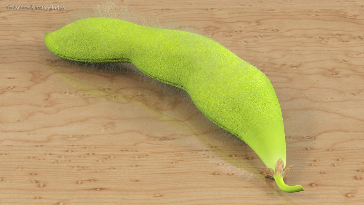 Green Soybean Pods Collection 3D model