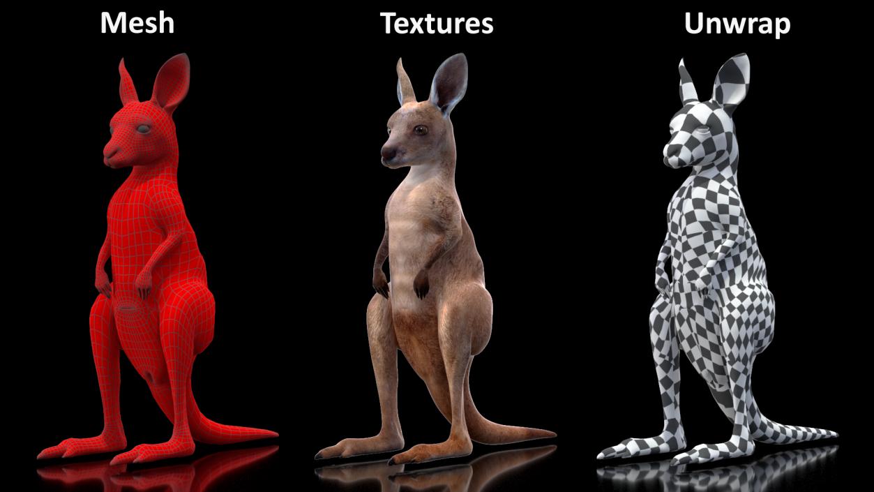 3D model Baby Kangaroo in Standing Pose