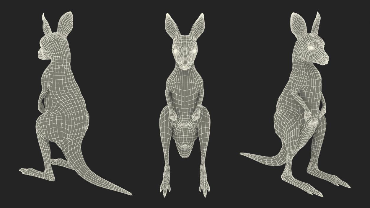 3D model Baby Kangaroo in Standing Pose