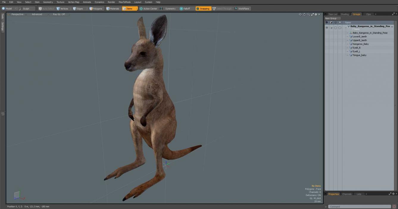 3D model Baby Kangaroo in Standing Pose