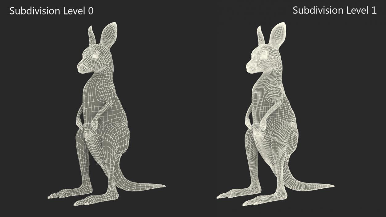 3D model Baby Kangaroo in Standing Pose